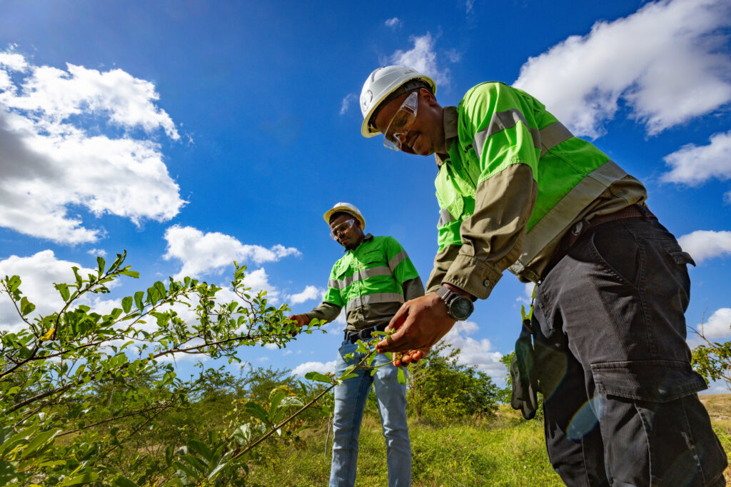 Agro Forestry5081