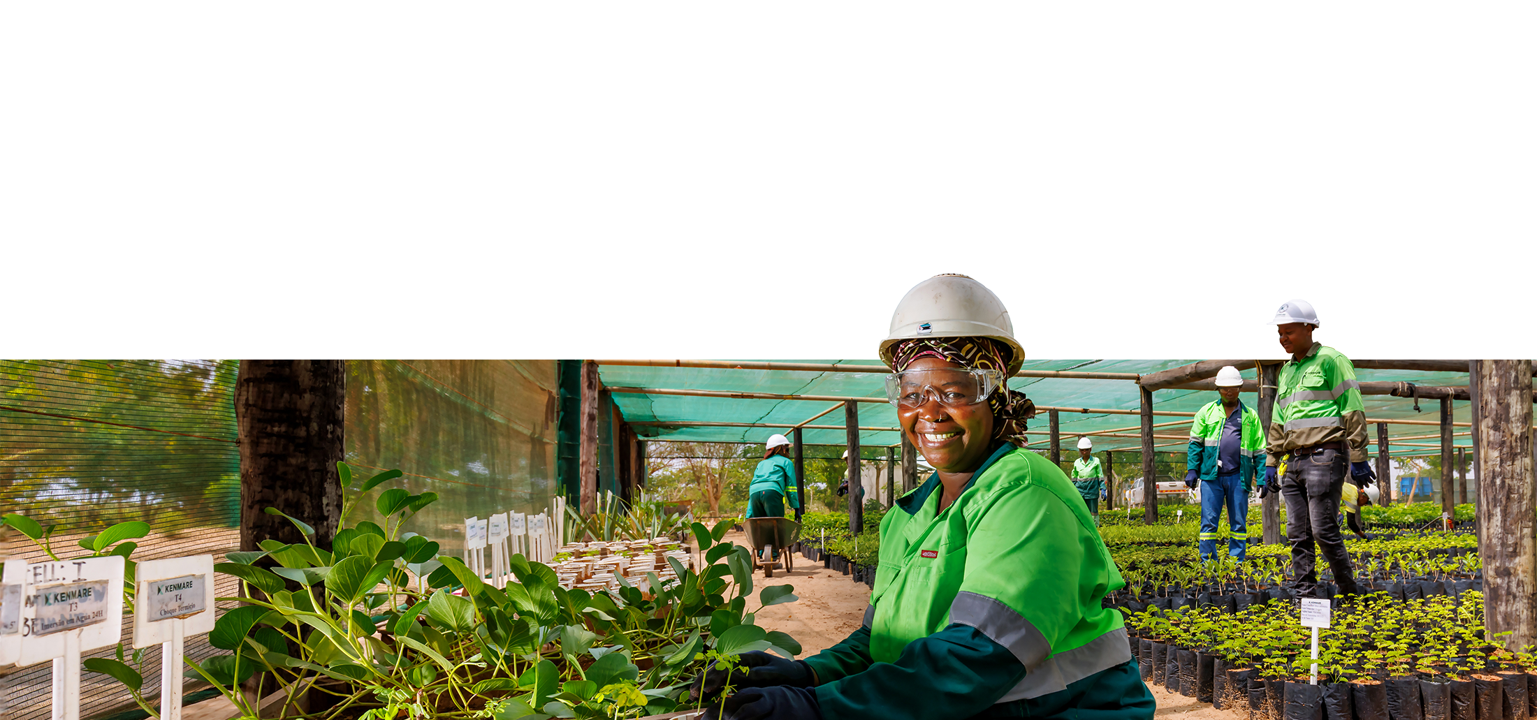 Namalope Nursery Banner