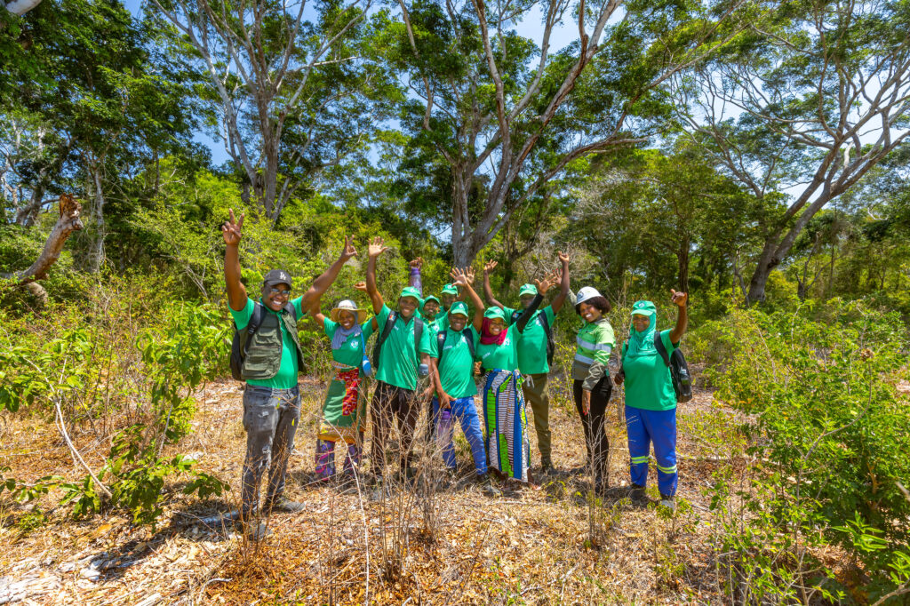 Kenmare Resources Moma Mine Icuria Forest Regeneration
